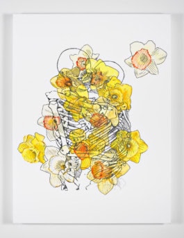 Mieke Marple