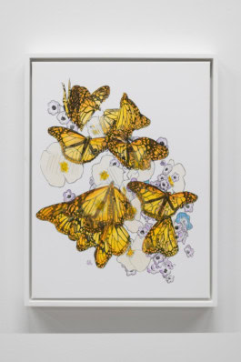 Mieke Marple